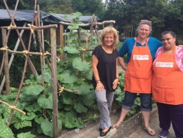 Tafelgarten in Singen (Juli 2015)