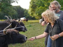 Albtour 2019: Yaks, Göllesberg