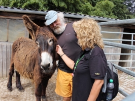 Albtour-2016_08_Yaw-Herde-auf-dem-Göllesberg_2128-1024x682