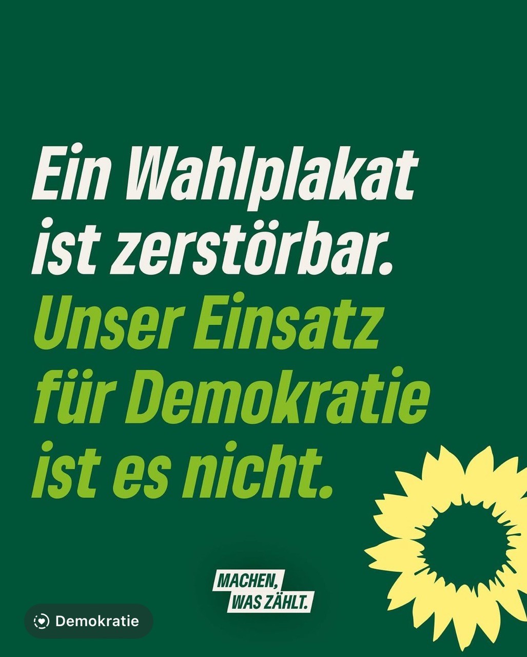 24-06-08 AfD Plakat 2 Orginal