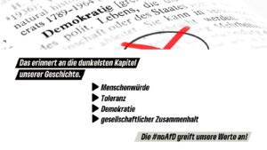 Der gleiche Wörterbuchausschnitt mit dem roten Kreuz. Der Text lautet: „Das erinnert an die dunkelsten Kapitel unserer Geschichte.“ Darunter eine Aufzählung: „Menschenwürde, Toleranz, Demokratie, gesellschaftlicher Zusammenhalt“. Abschließend steht: „Die #noAfD greift unsere Werte an!“