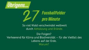 Eine Grafik mit einem dunkelgrünen Hintergrund zeigt den Text „Übrigens… 27 Fußballfelder pro Minute“. Darunter steht: „So viel Wald verschwindet weltweit durch Abholzung und Brände.“ Unten folgen: „Die Folgen? Verheerend für Klima und Biodiversität – für die Vielfalt des Lebens auf der Erde. Warum?“ Eine Reihe gezeichneter Bäume illustriert das Thema.