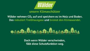 Eine Grafik mit grünem Hintergrund und der Überschrift „Wälder – unsere Klimaschützer“. Es wird erklärt, dass Wälder CO₂ aufnehmen und im Holz sowie Boden speichern, was Treibhausgase reduziert und den Klimawandel bremst. Unten steht: „Doch wenn Wälder verschwinden, fällt diese Schutzfunktion weg.“ Bäume als Illustrationen sind entlang des unteren Randes zu sehen.