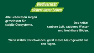 Eine Grafik mit der Überschrift „Biodiversität sichert unser Leben“ zeigt den Text: „Alle Lebewesen sorgen gemeinsam für stabile Ökosysteme. Das heißt: saubere Luft, sauberes Wasser und fruchtbare Böden.“ Darunter steht: „Wenn Wälder verschwinden, gerät dieses Gleichgewicht aus den Fugen.“ Gezeichnete Bäume ergänzen die Botschaft.