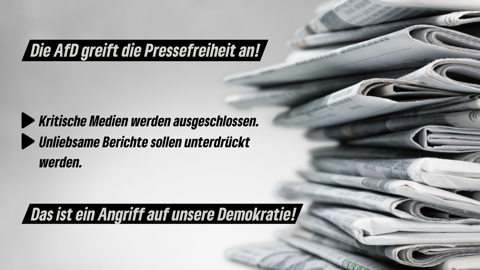 quer_AfD_Presse 2