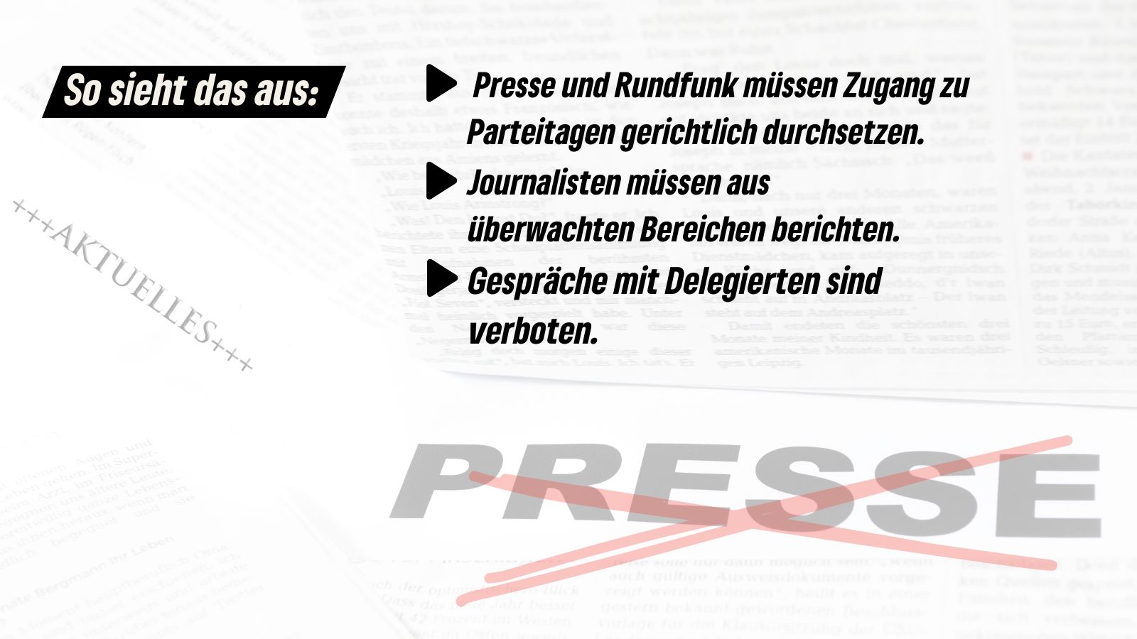 quer_AfD_Presse 3